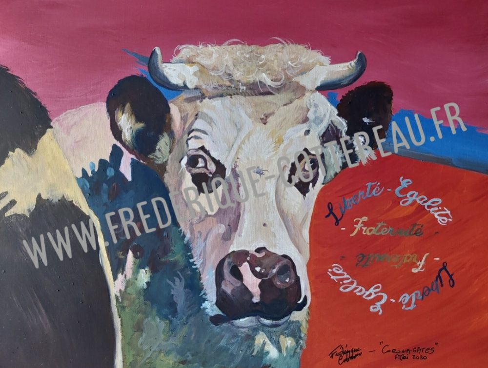 Le bœuf - Liberte egalité et fraternité coronagates bovin mammifere mammiferes viande animal portrait