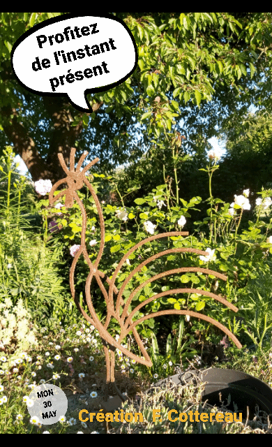 instants presents jardin mai bretagne France Chien coq ferronerie lila terrestre rose erigeron Pleine-Fougèr papillones